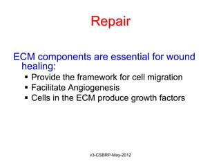 Repair

ECM components are essential for wound
 healing:
   Provide the framework for cell migration
   Facilitate Angiogenesis
   Cells in the ECM produce growth factors




                   v3-CSBRP-May-2012
 