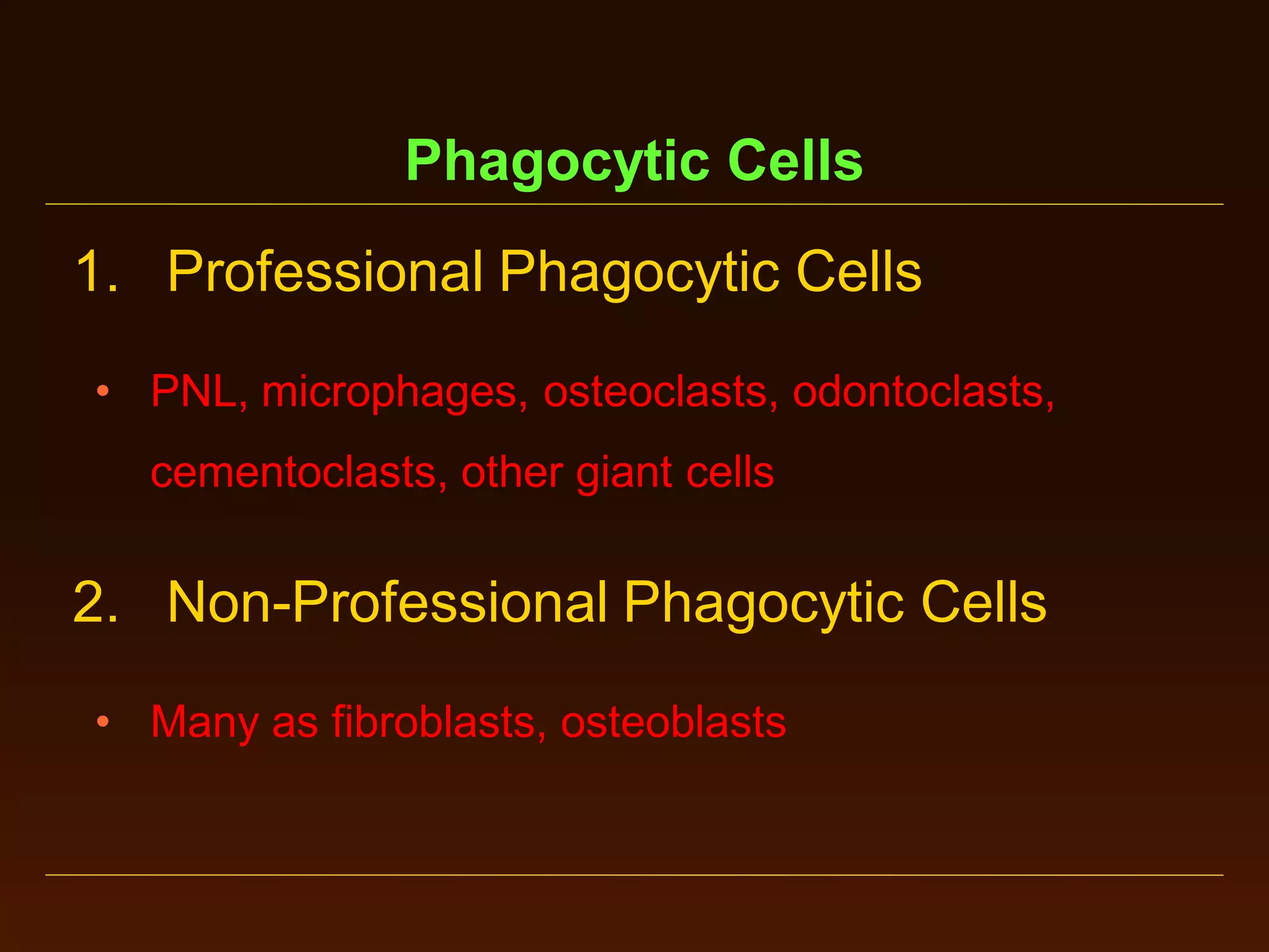 Phagocytic Cells
1. Professional Phagocytic Cells
• PNL, microphages, osteoclasts, odontoclasts,

cementoclasts, other giant cells

2. Non-Professional Phagocytic Cells
• Many as fibroblasts, osteoblasts

 