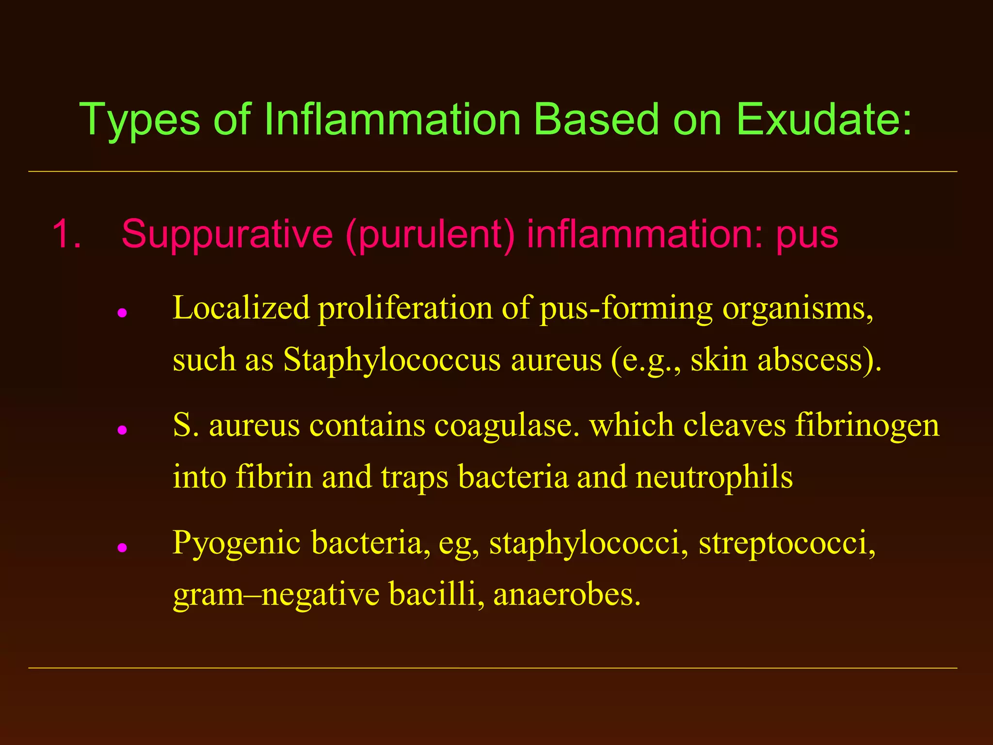 Types of Inflammation Based on Exudate:
1. Suppurative (purulent) inflammation: pus






Localized proliferation of pus-forming organisms,
such as Staphylococcus aureus (e.g., skin abscess).

S. aureus contains coagulase. which cleaves fibrinogen
into fibrin and traps bacteria and neutrophils
Pyogenic bacteria, eg, staphylococci, streptococci,
gram–negative bacilli, anaerobes.

 