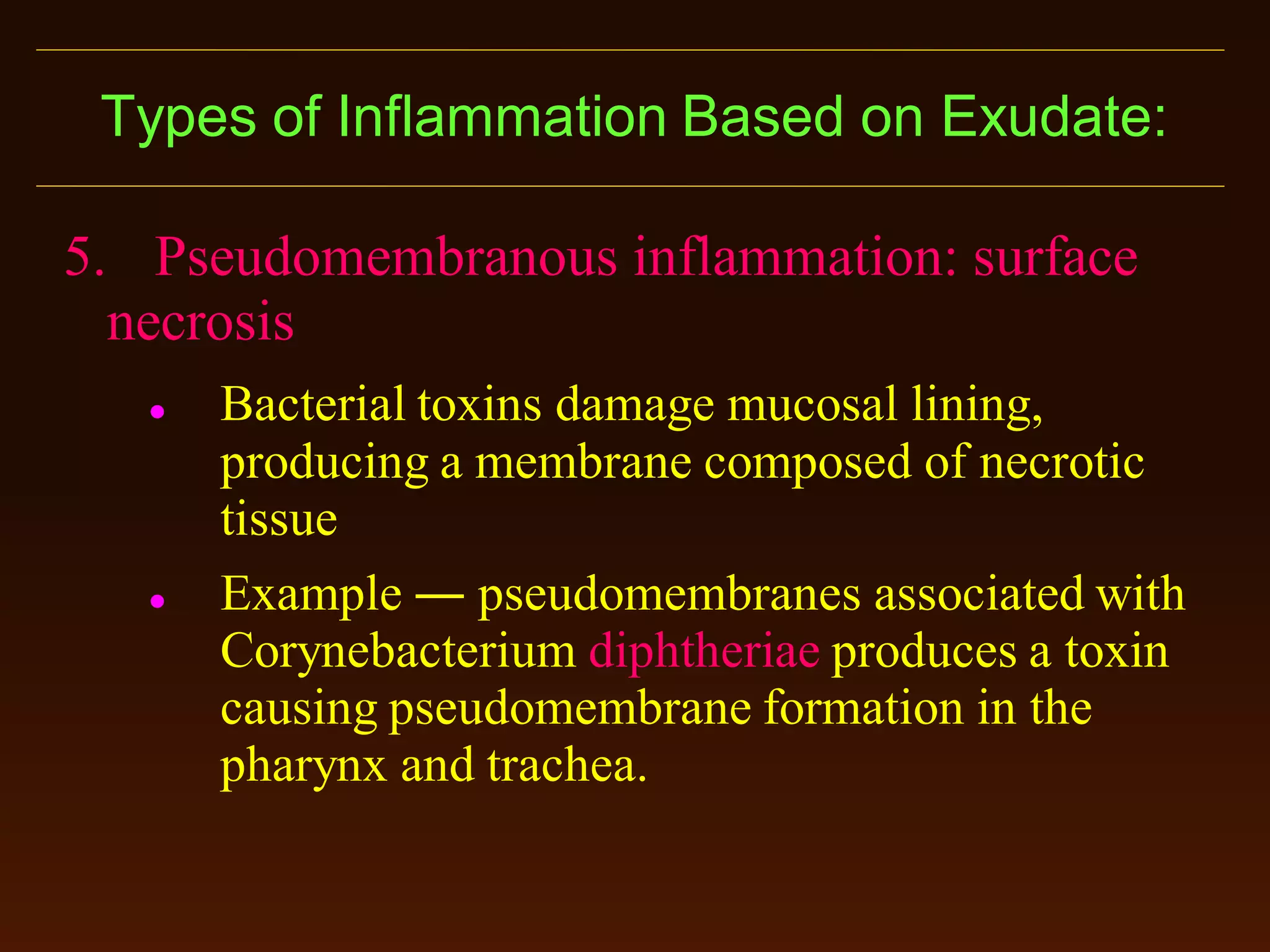Types of Inflammation Based on Exudate:
5. Pseudomembranous inflammation: surface
necrosis




Bacterial toxins damage mucosal lining,
producing a membrane composed of necrotic
tissue
Example ― pseudomembranes associated with
Corynebacterium diphtheriae produces a toxin
causing pseudomembrane formation in the
pharynx and trachea.

 
