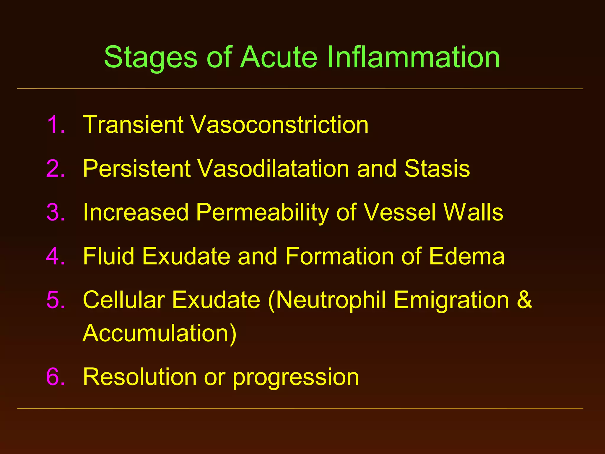 Stages of Acute Inflammation
1. Transient Vasoconstriction
2. Persistent Vasodilatation and Stasis

3. Increased Permeability of Vessel Walls
4. Fluid Exudate and Formation of Edema
5. Cellular Exudate (Neutrophil Emigration &
Accumulation)
6. Resolution or progression

 