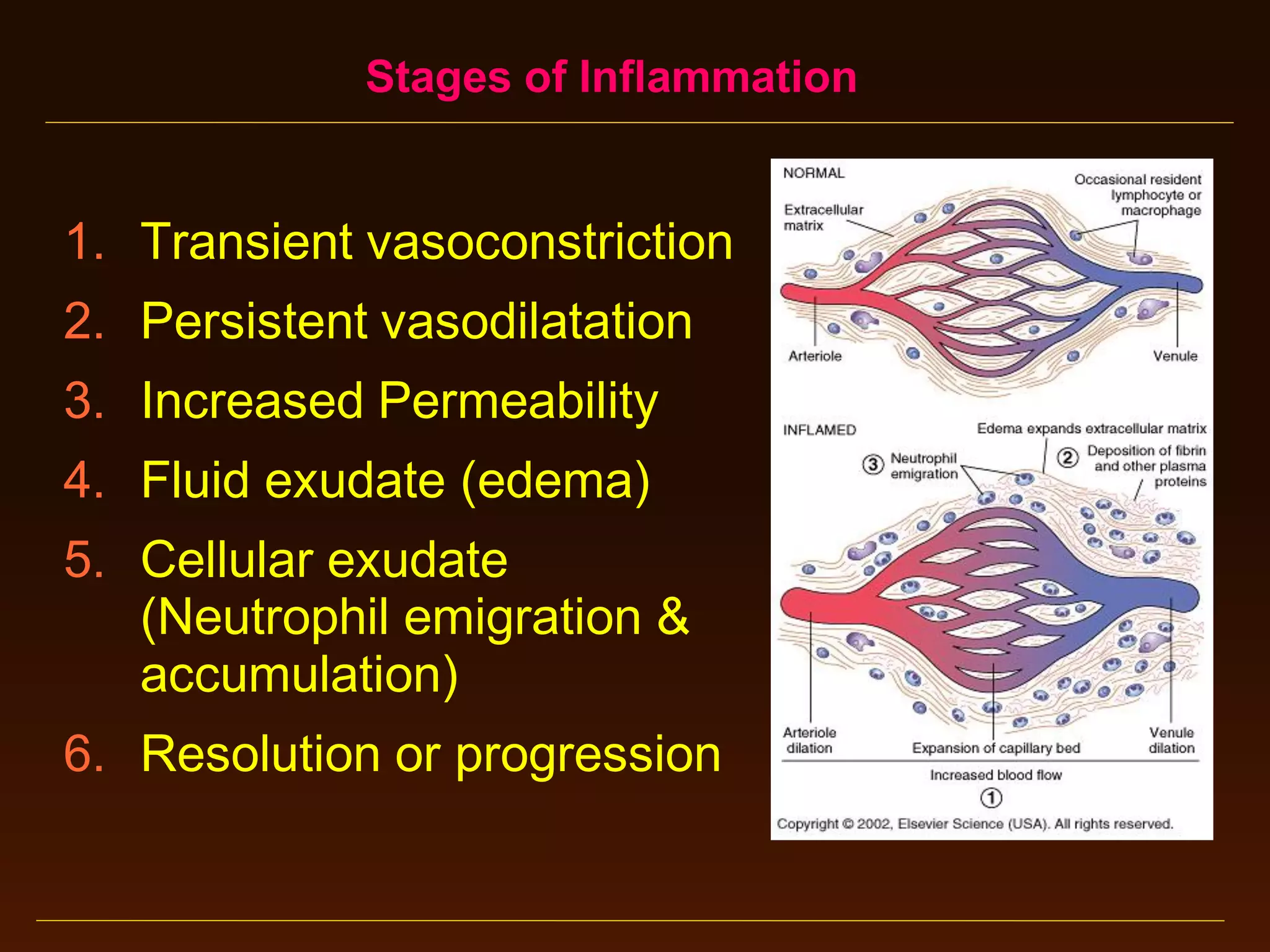 Stages of Inflammation

1. Transient vasoconstriction
2. Persistent vasodilatation

3. Increased Permeability
4. Fluid exudate (edema)
5. Cellular exudate
(Neutrophil emigration &
accumulation)
6. Resolution or progression

 