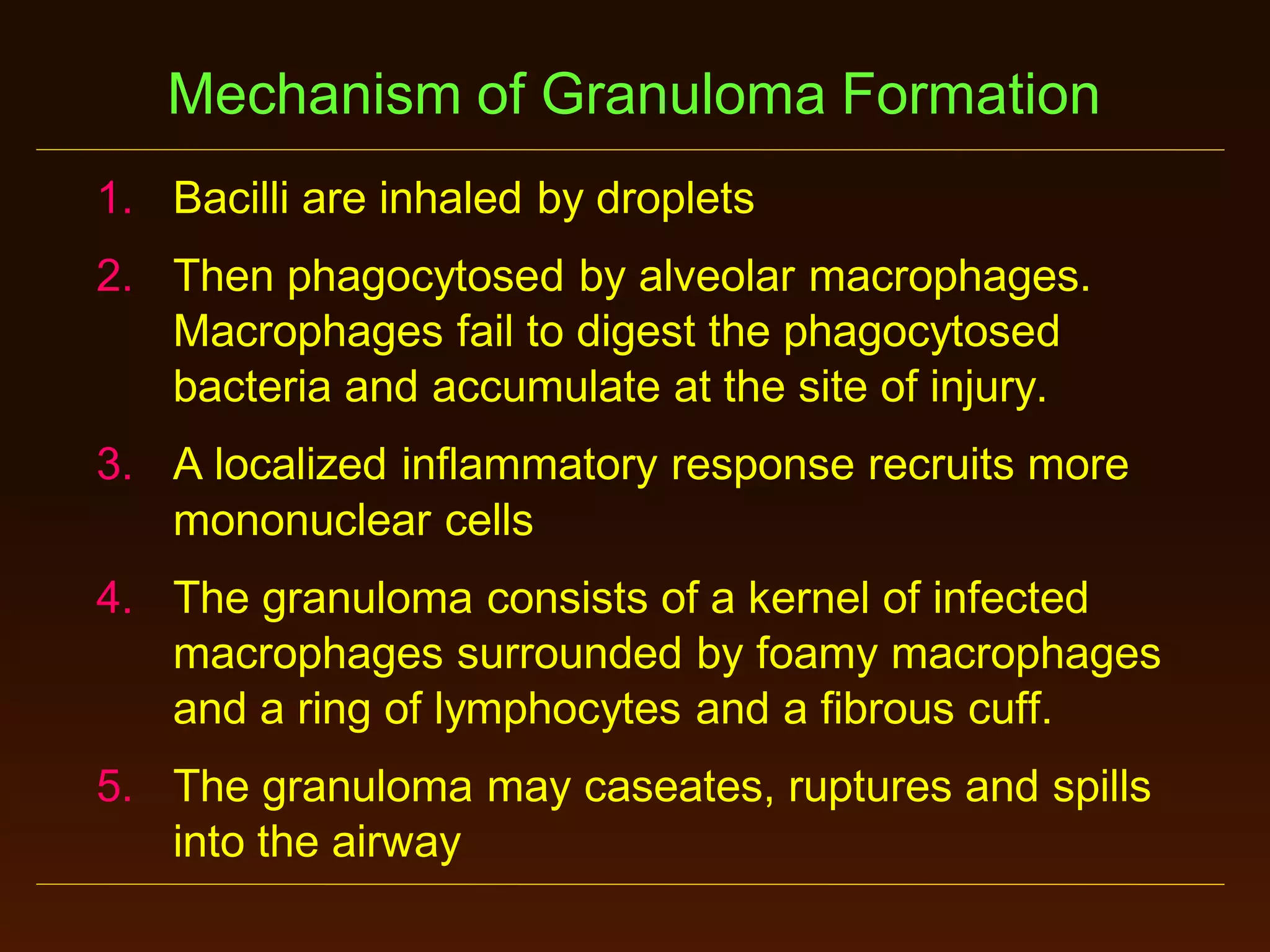 Mechanism of Granuloma Formation
1. Bacilli are inhaled by droplets
2. Then phagocytosed by alveolar macrophages.
Macrophages fail to digest the phagocytosed
bacteria and accumulate at the site of injury.
3. A localized inflammatory response recruits more
mononuclear cells
4. The granuloma consists of a kernel of infected
macrophages surrounded by foamy macrophages
and a ring of lymphocytes and a fibrous cuff.
5. The granuloma may caseates, ruptures and spills
into the airway

 