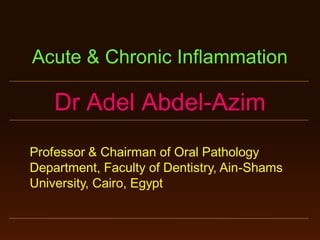 Acute & Chronic Inflammation

Dr Adel Abdel-Azim
Professor & Chairman of Oral Pathology
Department, Faculty of Dentistry, Ain-Shams
University, Cairo, Egypt

 