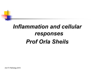2nd Yr Pathology 2010
Inflammation and cellular
responses
Prof Orla Sheils
 