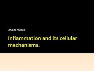 AnjanaTandon
2nd Yr Pathology 2010
 