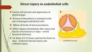 Direct injury to endothelial cells
 Causes cell necrosis and appearance of
physical gaps.
 Process of thrombosis is initiated at the
site of damaged endothelial cells.
 Affects all levels of microvasculature.
 Either appear immediately after injury and
last for several hours or days – severe
bacterial infections
 Or delay of 2-12 hours and last for hours or
days - moderate thermal injury and
radiation injury
 