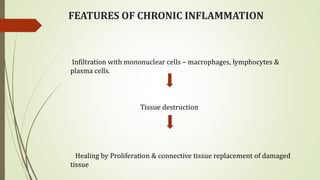 FEATURES OF CHRONIC INFLAMMATION
Infiltration with mononuclear cells – macrophages, lymphocytes &
plasma cells.
Tissue destruction
Healing by Proliferation & connective tissue replacement of damaged
tissue
 