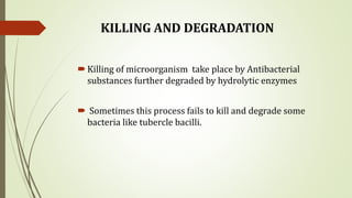 KILLING AND DEGRADATION
Killing of microorganism take place by Antibacterial
substances further degraded by hydrolytic enzymes
 Sometimes this process fails to kill and degrade some
bacteria like tubercle bacilli.
 