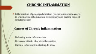 CHRONIC INFLAMMATION
 Inflammation of prolonged duration (weeks to months to years)
in which active inflammation, tissue injury, and healing proceed
simultaneously.
Causes of Chronic Inflammation
• Following acute inflammation
• Recurrent attacks of acute inflammation
• Chronic inflammation starting de novo
 