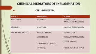 CHEMICAL MEDIATORS OF INFLAMMATION
 CELL- DERIEVED:
SOURCE MEDIATORS ACTION
MAST CELLS HISTAMINE VASODILATION.
INCREASE PERMEABILITY
PLATELETS SEROTONIN INCREASE PERMEABILITY
INFLAMMATORY CELLS PROSTAGLANDINS
LEUKOTRINES
LYSOSOMAL ACTIVITIES
CYTOKINES
VASODILATION
INCREASE PERMEABILITY.
TISSUE DAMAGE
TISSUE DAMAGE & FEVER
 