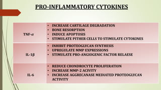 PRO-INFLAMMATORY CYTOKINES
TNF-α
• INCREASE CARTILAGE DEGRADATION
• BONE RESORPTION
• INDUCE APOPTOSIS
• STIMULATE PITHER CELLS TO STIMULATE CYTOKINES
IL-1β
• INHIBIT PROTEOGLYCAN SYNTHESIS
• UPREGULATE MMP EXPRESSIONS
• STIMULATE PRO-ANGIOGENIC FACTOR RELAESE
IL-6
• REDUCE CHONDROCYTE PROLIFERATION
• INCREASE MMP-2 ACIVITY
• INCREASE AGGRECANASE MEDIATED PROTEOGLYCAN
ACTIVITY
 