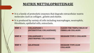 MATRIX METTALOPROTEINASE
 It is a family of proteolytic enzymes that degrade extracellular matrix
molecules such as collagen , gelatin and elastin.
 It is produced by variety of cells including macrophages, neutrophils,
fibroblasts, epithelial cells, osteoclasts.
MMP-1 COLLAGENASE 1
(INTERSTITIAL COLLAGENASE)
CLEAVE THE TRIPLE HELIX OF
FIBRILLAR COLLAGEN
MMP-8 COLLAGENASE 1
(NEUTROPHIL COLLAGENASE)
DEGRADE TYPE 1 COLLAGEN
MMP-9 GELATINASE DEGRADE TYPE I,II,III
COLLAGEN
 