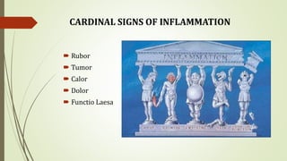 CARDINAL SIGNS OF INFLAMMATION
 Rubor
 Tumor
 Calor
 Dolor
 Functio Laesa
 