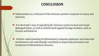 CONCLUSION
 Inflammation is a vital part of the immune system's response to injury and
infection.
 It is the body's way of signalling the immune system to heal and repair
damaged tissue, as well as defend itself against foreign invaders, such as
viruses and bacteria.
 A better understanding of inflammatory response pathways and molecular
mechanisms will undoubtedly contribute to improved prevention and
treatment of inflammatory diseases.
 