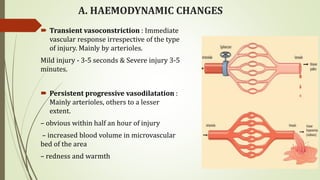 A. HAEMODYNAMIC CHANGES
 Transient vasoconstriction : Immediate
vascular response irrespective of the type
of injury. Mainly by arterioles.
Mild injury - 3-5 seconds & Severe injury 3-5
minutes.
 Persistent progressive vasodilatation :
Mainly arterioles, others to a lesser
extent.
– obvious within half an hour of injury
– increased blood volume in microvascular
bed of the area
– redness and warmth
 