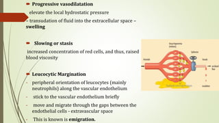  Progressive vasodilatation
elevate the local hydrostatic pressure
– transudation of fluid into the extracellular space –
swelling
 Slowing or stasis
increased concentration of red cells, and thus, raised
blood viscosity
 Leucocytic Margination
- peripheral orientation of leucocytes (mainly
neutrophils) along the vascular endothelium
- stick to the vascular endothelium briefly
- move and migrate through the gaps between the
endothelial cells - extravascular space
- This is known is emigration.
 