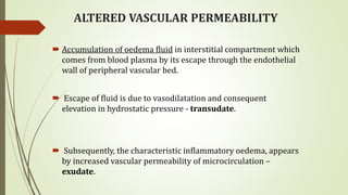ALTERED VASCULAR PERMEABILITY
 Accumulation of oedema fluid in interstitial compartment which
comes from blood plasma by its escape through the endothelial
wall of peripheral vascular bed.
 Escape of fluid is due to vasodilatation and consequent
elevation in hydrostatic pressure - transudate.
 Subsequently, the characteristic inflammatory oedema, appears
by increased vascular permeability of microcirculation –
exudate.
 