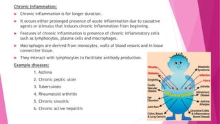 Chronic Inflammation:
 Chronic inflammation is for longer duration.
 It occurs either prolonged presence of acute inflammation due to causative
agents or stimulus that induces chronic inflammation from beginning.
 Features of chronic inflammation is presence of chronic inflammatory cells
such as lymphocytes, plasma cells and macrophages.
 Macrophages are derived from monocytes, walls of blood vessels and in loose
connective tissue.
 They interact with lymphocytes to facilitate antibody production.
Example diseases:
1. Asthma
2. Chronic peptic ulcer
3. Tuberculosis
4. Rheumatoid arthritis
5. Chronic sinusitis
6. Chronic active hepatitis
 
