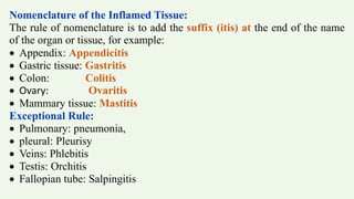 Nomenclature of the Inflamed Tissue:
The rule of nomenclature is to add the suffix (itis) at the end of the name
of the organ or tissue, for example:
 Appendix: Appendicitis
 Gastric tissue: Gastritis
 Colon: Colitis
 Ovary: Ovaritis
 Mammary tissue: Mastitis
Exceptional Rule:
 Pulmonary: pneumonia,
 pleural: Pleurisy
 Veins: Phlebitis
 Testis: Orchitis
 Fallopian tube: Salpingitis
 
