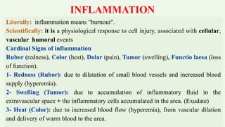 INFLAMMATION
Literally: inflammation means "burnout".
Scientifically: it is a physiological response to cell injury, assoc...