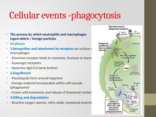 Comprehensive Overview of Inflammation: Mechanisms and Types | PPTX