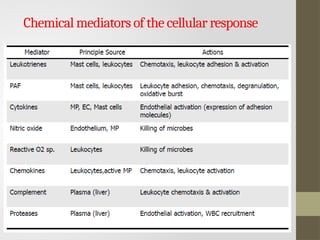 Comprehensive Overview of Inflammation: Mechanisms and Types | PPTX