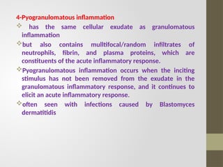 Comprehensive Overview of Inflammation: Mechanisms and Types | PPTX