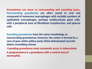 Noncaseating Comprehensive Overview of Inflammation: Mechanisms and Types | PPTX