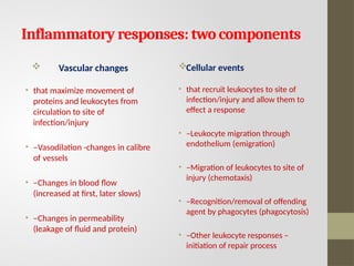 Comprehensive Overview of Inflammation: Mechanisms and Types | PPTX