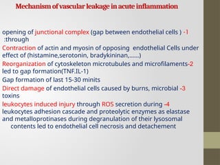 Comprehensive Overview of Inflammation: Mechanisms and Types | PPTX