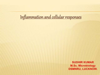 Inflammation and cellular responses
SUDHIR KUMAR
M.Sc. Microbiology
DSMNRU, LUCKNOW.
 