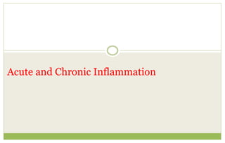 Acute and Chronic Inflammation
 
