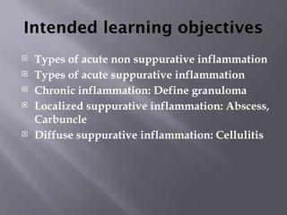 Comprehensive Overview of Acute and Chronic Inflammation Types and ...