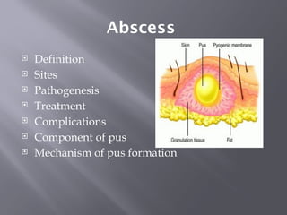 Comprehensive Overview of Acute and Chronic Inflammation Types and ...