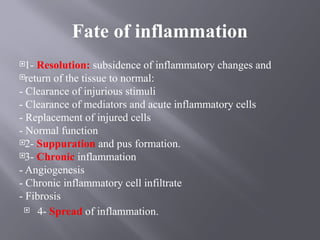 Comprehensive Overview of Acute and Chronic Inflammation Types and ...