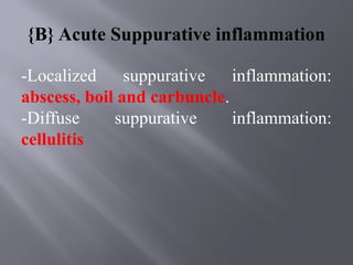 Comprehensive Overview of Acute and Chronic Inflammation Types and ...
