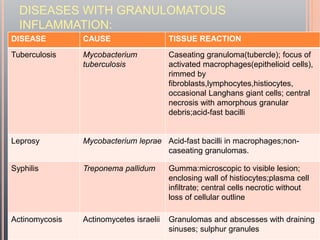 inflammation 2- FINAL.powerpoint presentation | PPTX
