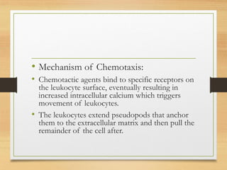 • Mechanism of Chemotaxis:
• Chemotactic agents bind to specific receptors on
the leukocyte surface, eventually resulting in
increased intracellular calcium which triggers
movement of leukocytes.
• The leukocytes extend pseudopods that anchor
them to the extracellular matrix and then pull the
remainder of the cell after.
 