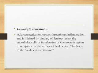 • Leukocyte activation:-
• leukocyte activation occurs through out inflammation
and is initiated by binding of leukocytes to: the
endothelial cells or interleukins or chemotactic agents
to receptors on the surface of leukocytes. This leads
to the “leukocytes activation”
 