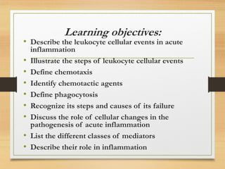 Learning objectives:
• Describe the leukocyte cellular events in acute
inflammation
• Illustrate the steps of leukocyte cellular events
• Define chemotaxis
• Identify chemotactic agents
• Define phagocytosis
• Recognize its steps and causes of its failure
• Discuss the role of cellular changes in the
pathogenesis of acute inflammation
• List the different classes of mediators
• Describe their role in inflammation
 