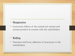 • Margination
• Leucocytes fallout of the central axis stream and
assume position in contact with the endothelium
• Rolling
• Transient and loose adhesion of leucocytes to the
endothelium
 