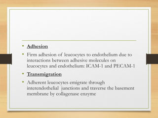• Adhesion
• Firm adhesion of leucocytes to endothelium due to
interactions between adhesive molecules on
leucocytes and endothelium: ICAM-1 and PECAM-1
• Transmigration
• Adherent leucocytes emigrate through
interendothelial junctions and traverse the basement
membrane by collagenase enzyme
 