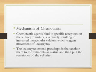 • Mechanism of Chemotaxis:
• Chemotactic agents bind to specific receptors on
the leukocyte surface, eventually resulting in
increased intracellular calcium which triggers
movement of leukocytes.
• The leukocytes extend pseudopods that anchor
them to the extracellular matrix and then pull the
remainder of the cell after.
 