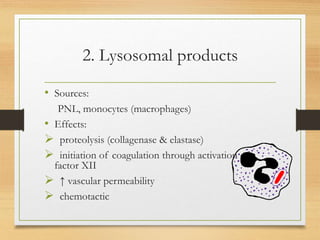 2. Lysosomal products
• Sources:
PNL, monocytes (macrophages)
• Effects:
 proteolysis (collagenase & elastase)
 initiation of coagulation through activation of
factor XII
 ↑ vascular permeability
 chemotactic
 