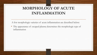 MORPHOLOGY OF ACUTE
INFLAMMATION
A few morphologic varieties of acute inflammation are described below:
• The appearance of escaped plasma determines the morphologic type of
inflammation
 