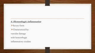 6. Hemorrhagic inflammation
Severe form
Characterized by:
vascular damage
with hemorrhagic
inflammatory exudate
 