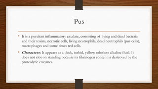 Pus
• It is a purulent inflammatory exudate, consisting of living and dead bacteria
and their toxins, necrotic cells, living neutrophils, dead neutrophils (pus cells),
macrophages and some times red cells.
• Characters: It appears as a thick, turbid, yellow, odorless alkaline fluid. It
does not clot on standing because its fibrinogen content is destroyed by the
proteolytic enzymes.
 