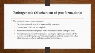 Pathogenesis (Mechanism of pus formation):
• The pyogenic microorganisms cause:
• Excessive tissue destruction (necrosis) by its toxins.
• Chemotactic effect on neutrophils.
• Neutrophils killed during their battle with the bacteria form pus cells.
• Pus cells release proteolytic enzymes leading to rapid liquefaction of the
necrotic tissue forming pus. The resulting fluid material mixes with other
inflammatory products (cells & exudate) to form pus.
 