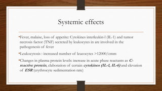 Systemic effects
•Fever, malaise, loss of appetite: Cytokines interleukin-l (IL-1) and tumor
necrosis factor (TNF) secreted by leukocytes in are involved in the
pathogenesis of fever
•Leukocytosis : increased number of leucocytes >12000/cmm
•Changes in plasma protein levels: increase in acute phase reactants as C-
reactive protein, elaboration of certain cytokines (IL-1, IL-6) and elevation
of ESR (erythrocyte sedimentation rate)
 